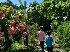 -园林美食城·本土农家菜(杨和镇店)
