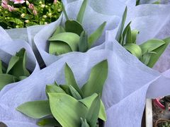 -循礼门鲜花花市(武汉循礼门店)