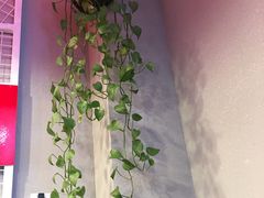 -周鱼小馆石锅酸菜鱼(活力汇店)