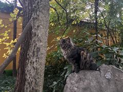 -西园戒幢律寺