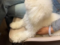 -国惠大酒楼(宝龙店)