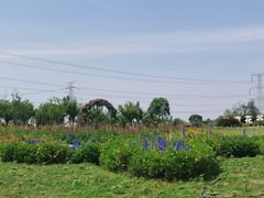 -紫颐香薰山谷景区