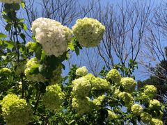 -杭州城北体育公园