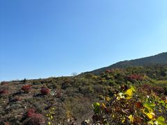 -龙洞风景区-藏龙涧