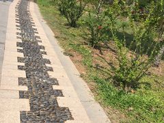 -金鸡岭桥头公园