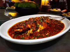 糖醋脆皮黄花鱼-君悦酒店·1881·北京烤鸭