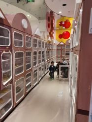 -meland club亲子乐园(重庆万象城店)