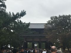 -奈良公园
