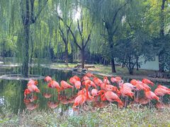 -石家庄市动物园