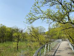 -西湖风景区-江洋畈生态公园