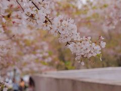 -龙美术馆(西岸馆)