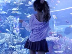 -左海海底世界