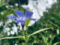 -华凌山庄·隐湖栖
