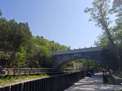 -白水寺森林公园