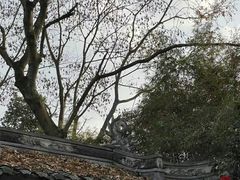 -黄龙溪古镇
