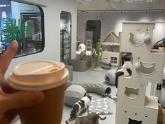 -Cappucimeow猫咪咖啡馆(韦伯时代店)