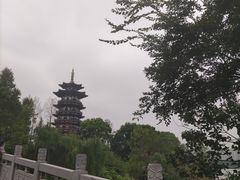 -洋湖国家湿地公园