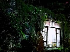 -绿华园休闲山庄