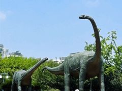 -安徽省地质博物馆