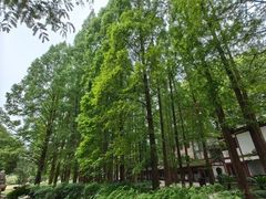 -东坡赤壁风景名胜区