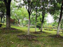 -白塘生态植物园