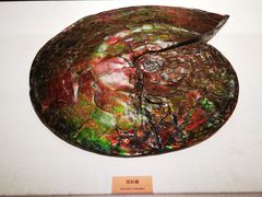 -国家自然博物馆