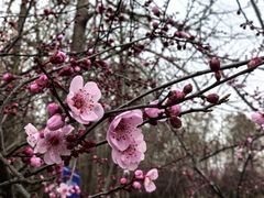 景点-上海海湾国家森林公园