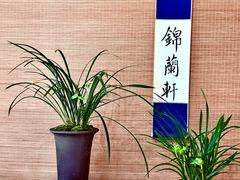 -上海植物园-4号门售票处