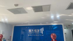 -雍禾植发