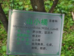-广州神农草堂中医药博物馆