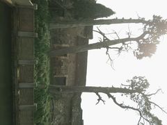 android_upload_pic-江南第一家