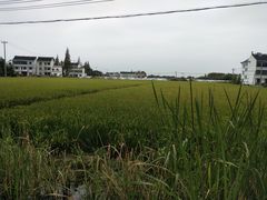 -锦江中华村农家乐饭庄