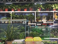 -万达广场(泰安泰山店)