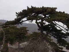 -妙峰山风景名胜区