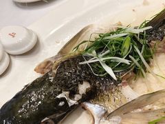 -稻香酒家·35年老字号(侨光店)