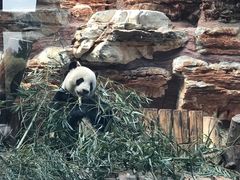 -石家庄市动物园