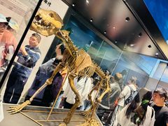 -北京周口店北京人遗址博物馆