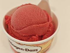 -哈根达斯(武汉天地店)