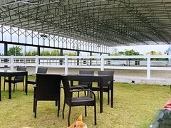 -上海崇明金茂凯悦酒店