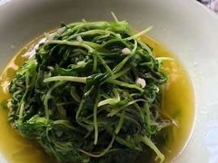 蒜蓉萝卜苗-印象徽州·正宗徽菜体验店