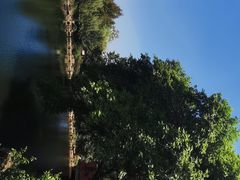 -冶父山国家森林公园