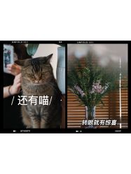 -优刻西服西装定制(金轮国际广场店)