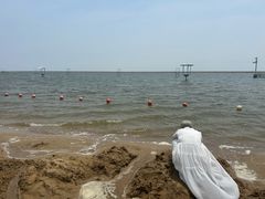 -碧海金沙