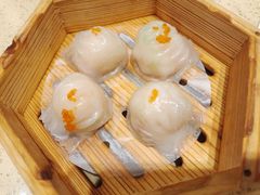 -正哥点心皇子(锦江国际广场店)