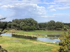 -北京麋鹿生态实验中心