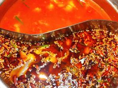 -胖子鱼·油泼甘谷辣子炝活鱼(秦州407店)