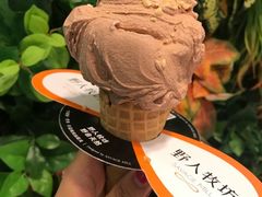 -野人先生现做冰淇淋(北京环宇荟店)