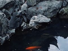 -紫阳古街