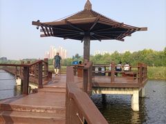 -前关湿地公园