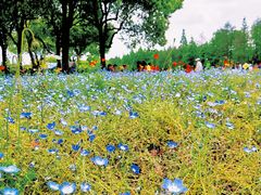-上海滨江森林公园